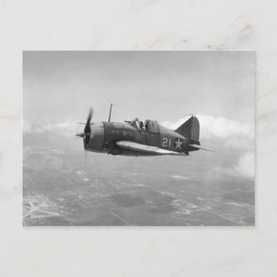 Brewster Buffalo Postcard