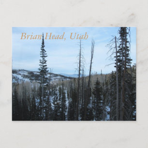 Brian Head, Utah Postcard