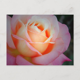 Brianna Postcard