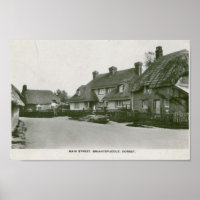 Briantspuddle, Dorset vintage postcard print