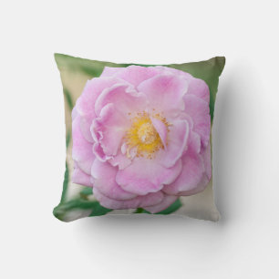 Briar Rose Cushion