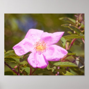 Briar Rose Poster