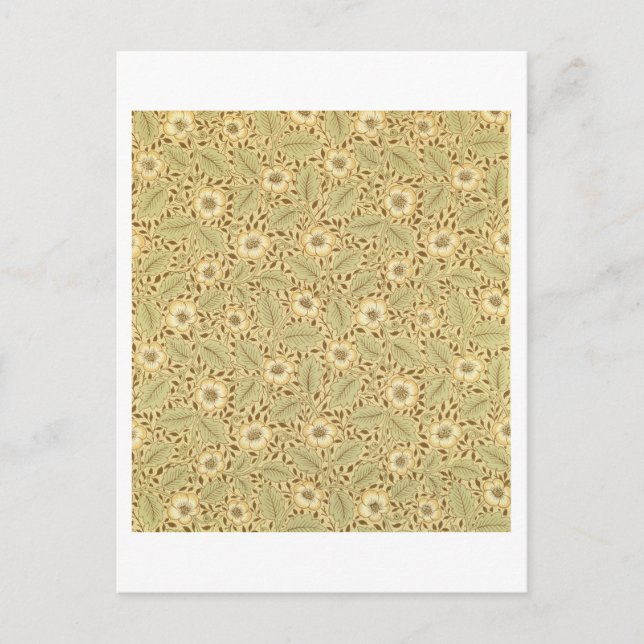 'Briar Rose' wallpaper design Postcard (Front)