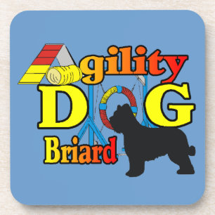 Briard Agility Coaster