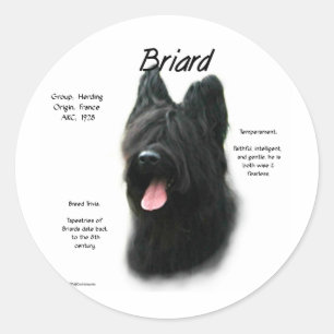 Briard (black) History Design Classic Round Sticker