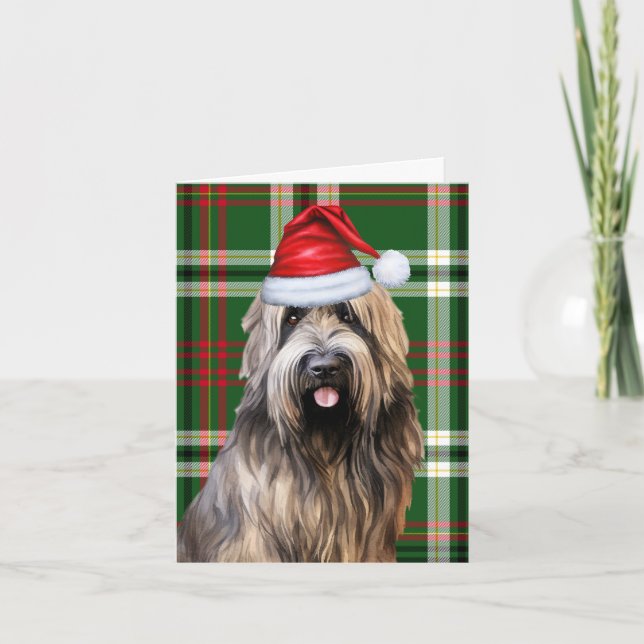 Briard Christmas Dog Green Plaid Christmas Holiday Card (Front)