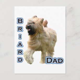 Briard Dad 4 Postcard