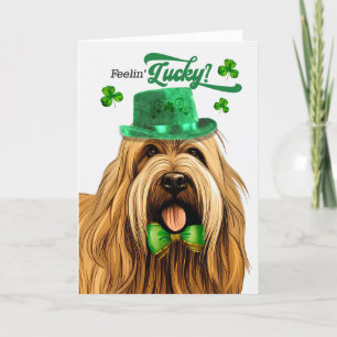 Briard Dog Feelin' Lucky St Patrick's Day Holiday Card