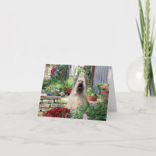 Briard Dog in Flower Garden Card