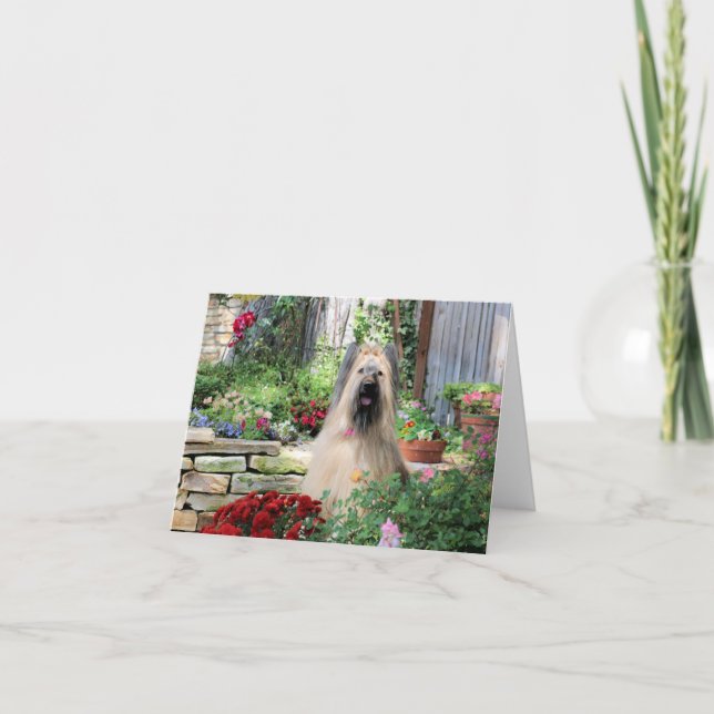 Briard Dog in Flower Garden Card (Front)