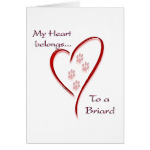 Briard Heart Belongs