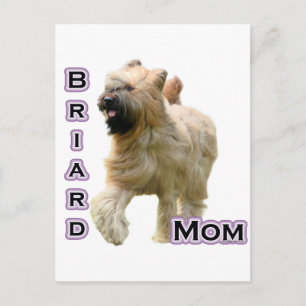 Briard Mum 4 Postcard