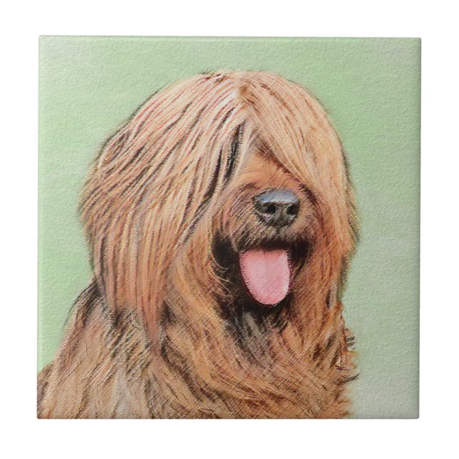 Briard Painting - Cute Original Dog Art Tile (Front)