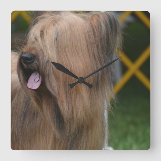 Briard Square Wall Clock (Front)