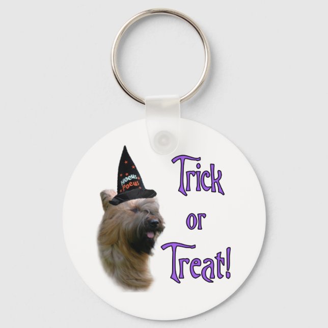 Briard Trick Key Ring (Front)