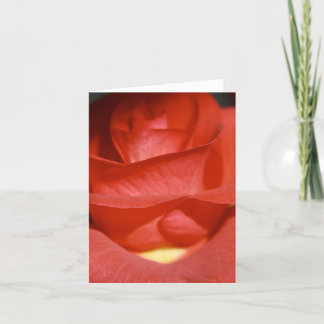 Brick Red Rose Note Card