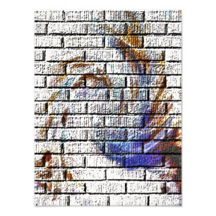 BRICK WALL GRAFFITI PHOTO PRINT