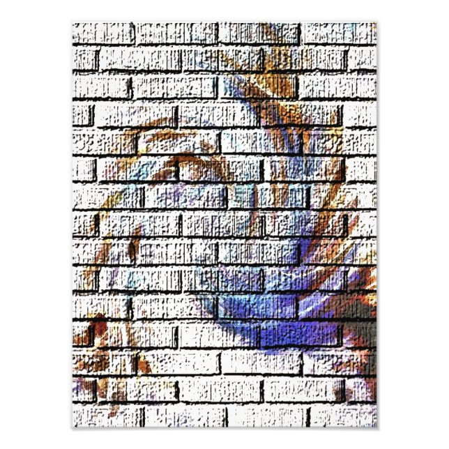 BRICK WALL GRAFFITI PHOTO PRINT (Front)
