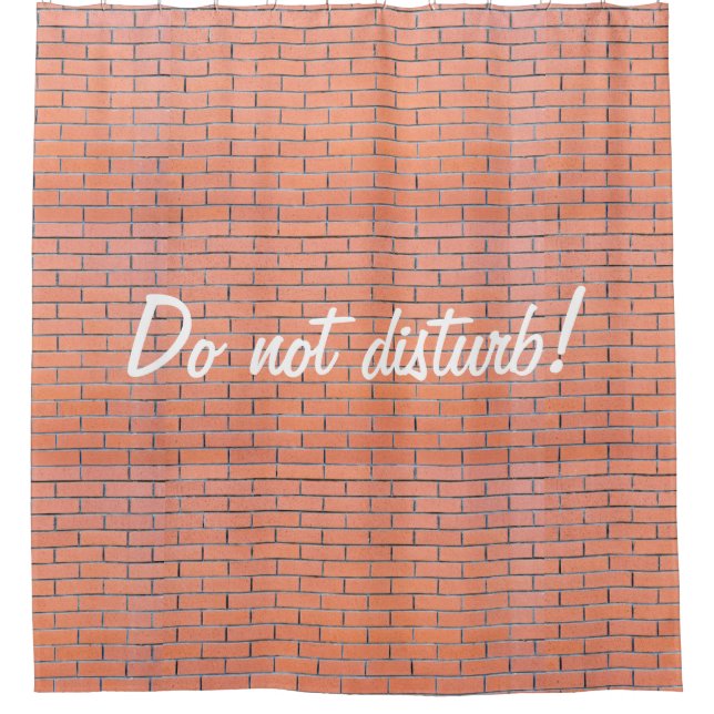 Brick wall pattern shower curtain (Front)