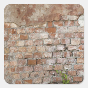 Brick wall square sticker