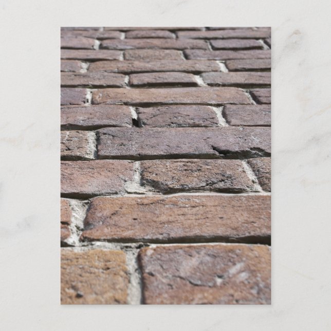 BRICKS WALL POSTCARD (Front)