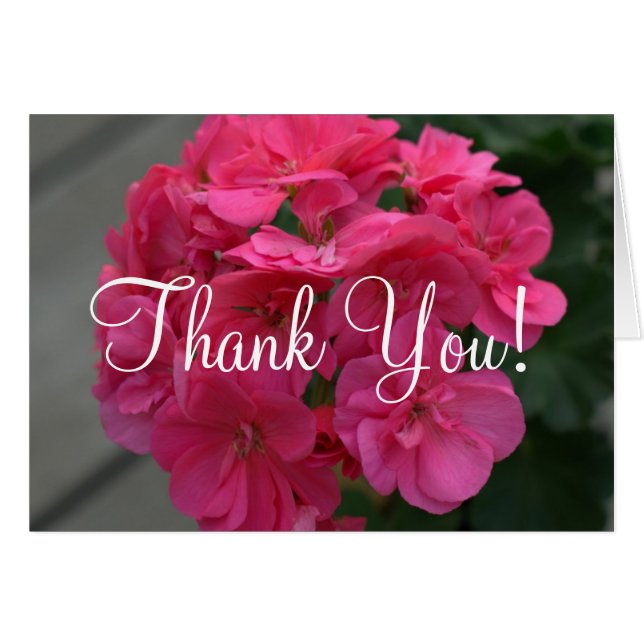 Bridal Shower Rose Geranium Thank You Blank Cards (Front Horizontal)