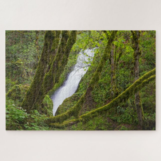 Bridal Veil Falls Jigsaw Puzzle (Horizontal)
