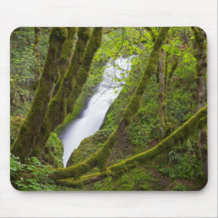 Bridal Veil Falls Mouse Pad