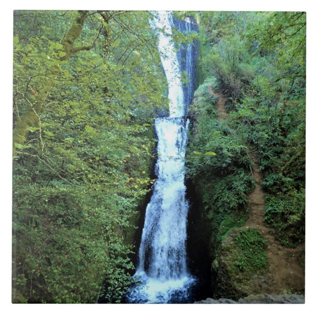 Bridal Veil Falls, OR Tile (Front)