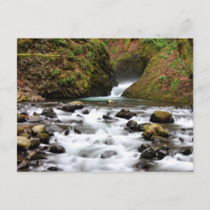 Bridal Veil Falls Oregon Waterfall Postcard