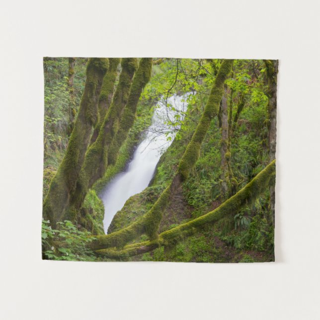 Bridal Veil Falls Tapestry (Front (Horizontal))
