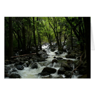 Bridalveil Creek in Yosemite National Park