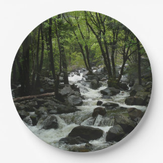 Bridalveil Creek in Yosemite National Park Paper Plate