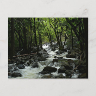 Bridalveil Creek in Yosemite National Park Postcard