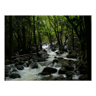 Bridalveil Creek in Yosemite National Park Poster