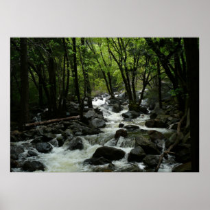 Bridalveil Creek in Yosemite National Park Poster