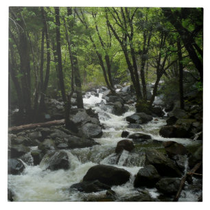 Bridalveil Creek in Yosemite National Park Tile