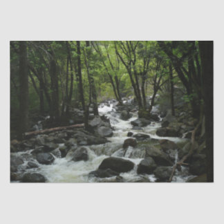 Bridalveil Creek in Yosemite National Park Tissue Paper