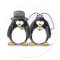 Bride and Groom Penguin Stickers