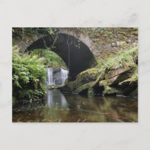 Bridge above Torc waterfall Postcard