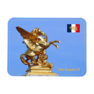 Bridge Alexandre III in Paris, France Magnet