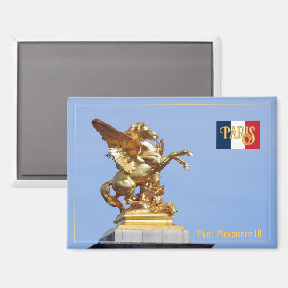 Bridge Alexandre III in Paris, France Magnet