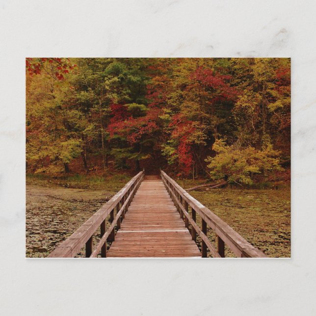 Bridge at Bays Mounatin Postcard (Front)