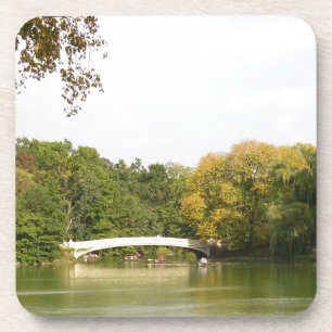 Bridge at Central Park, New York City Coaster