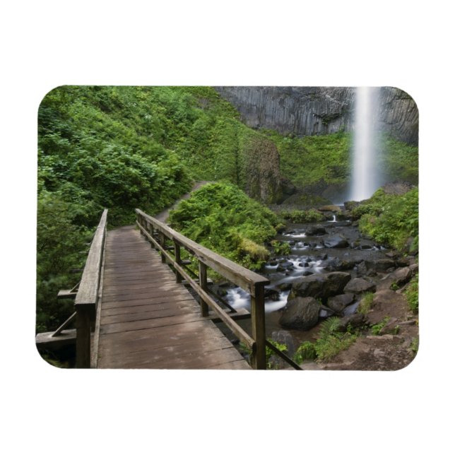 Bridge at Latourell Falls, Columbia River Gorge, Magnet (Horizontal)
