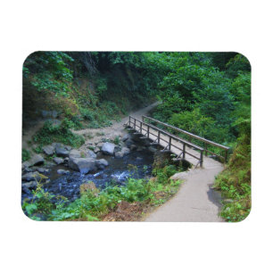 Bridge at Latourell Falls, Oregon Magnet