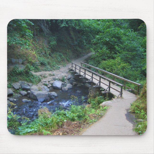 Bridge at Latourell Falls, Oregon Mouse Pad (Front)