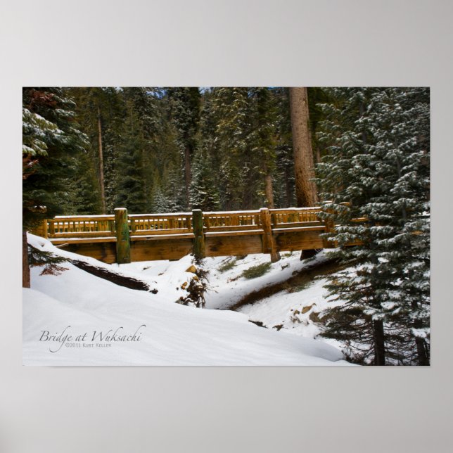 Bridge at Wuksachi Poster (Front)