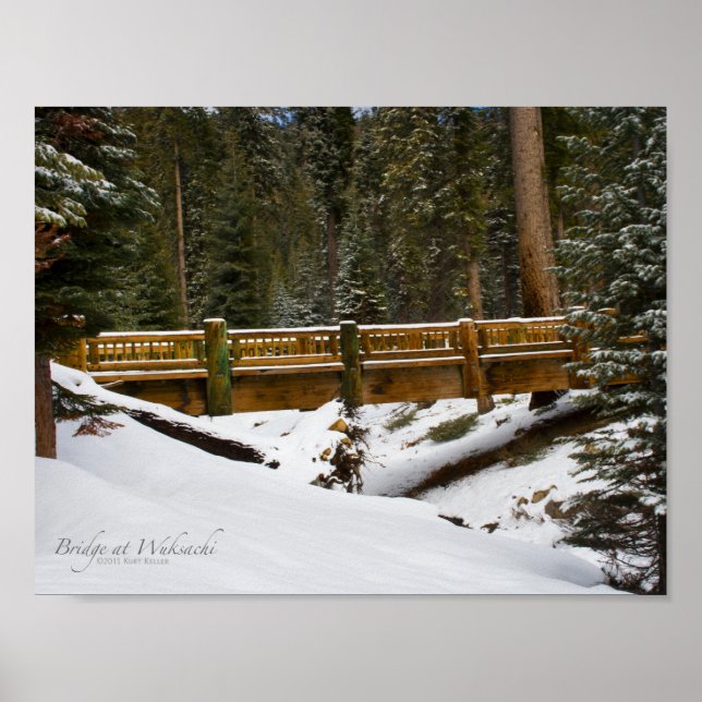 Bridge at Wuksachi Poster (Front)