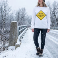 Bridge Ices Before Road Sign Winter Safety 